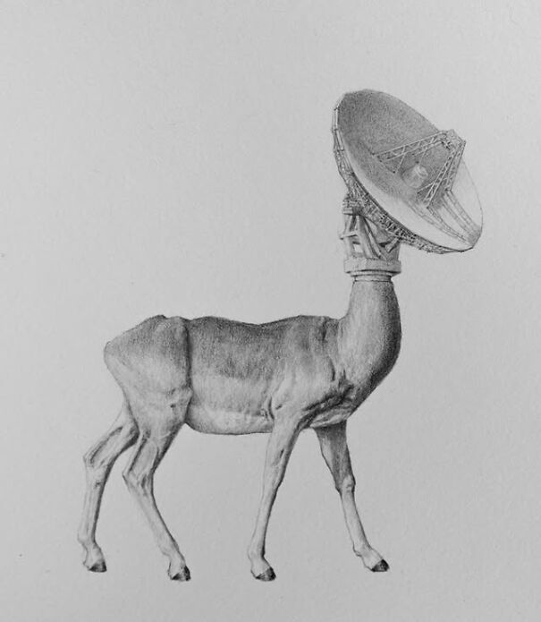 Graphite drawing of a deer with a satellite dish head, blending familiar animal form with unsettling surreal elements.