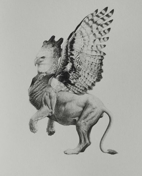 Graphite drawing of a mythical griffin creature blending a lion’s body with an eagle’s head and wings in detailed shading.