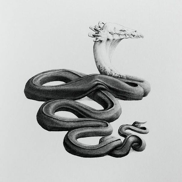 Graphite drawing of a surreal snake with a skeletal, unsettling skull head blending familiar and eerie elements.