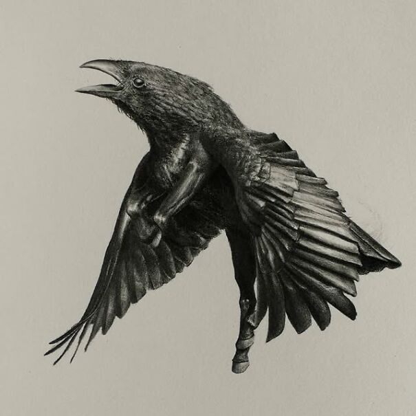 Graphite drawing of a bird with human-like arms, blending familiar features into a deeply unsettling image.