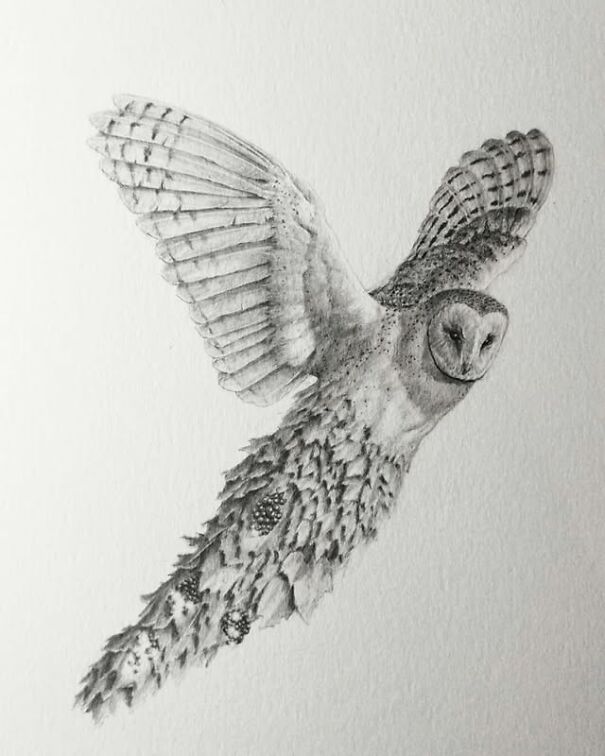 Graphite drawing of an owl mid-flight, blending detailed feathers with surreal, unsettling textures.