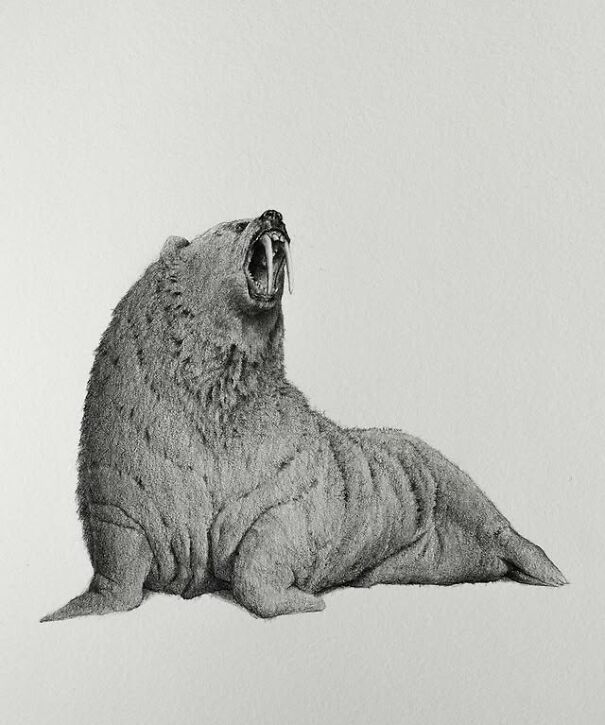 Graphite drawing of a creature blending a seal and bear with sharp fangs, creating a deeply unsettling effect.