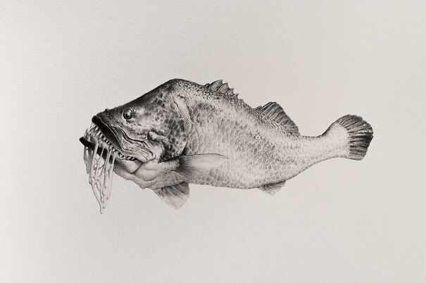 Graphite drawing of a fish with eerie features, blending familiar aquatic elements with unsettling details.