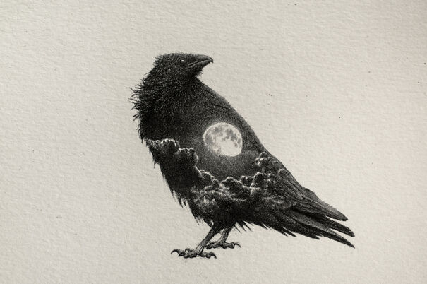 Graphite drawing of a crow with a detailed moon and clouds inside its body, creating an unsettling familiar image.