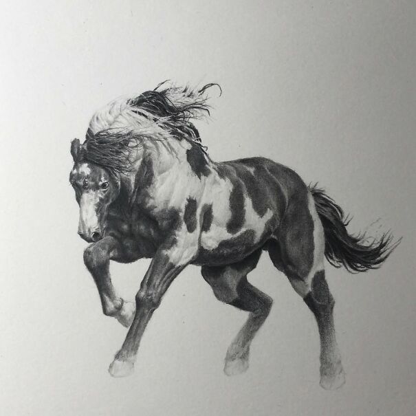Realistic graphite drawing of a horse with flowing mane, showcasing detailed shading and texture in the unsettling art style.