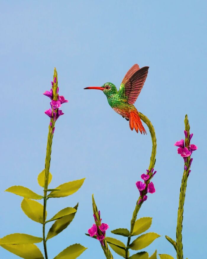 Lifelike bird crafted from paper and wood hovering near vibrant pink flowers against a clear blue sky background.