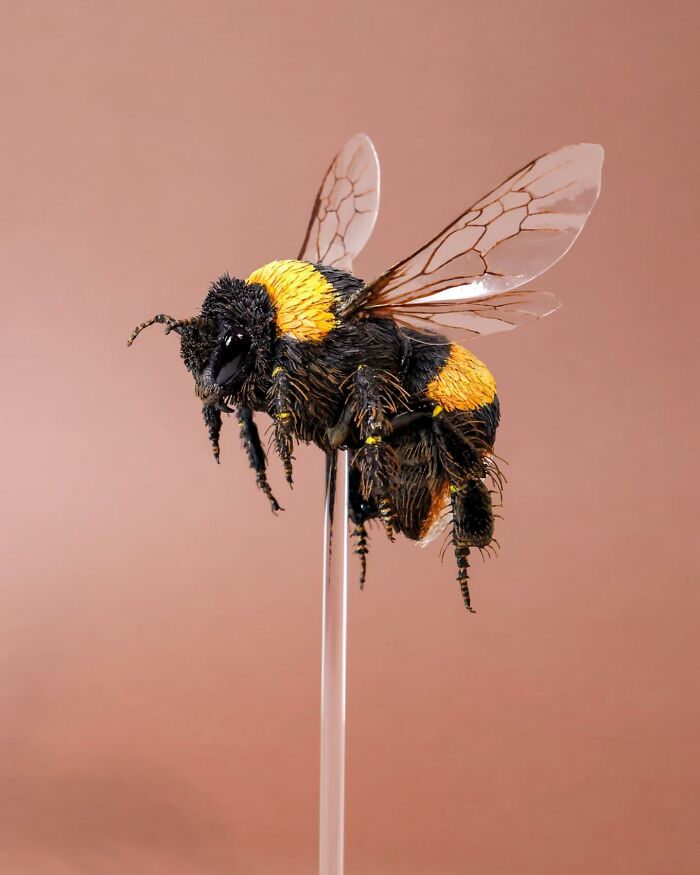 Lifelike paper and wood sculpture of a bee with detailed wings and textured body, showcasing mesmerizing craftsmanship.