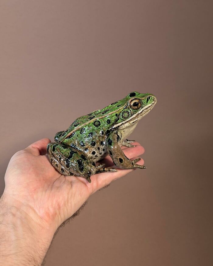 Realistic lifelike bird crafted from paper and wood, resting on a hand against a plain background.