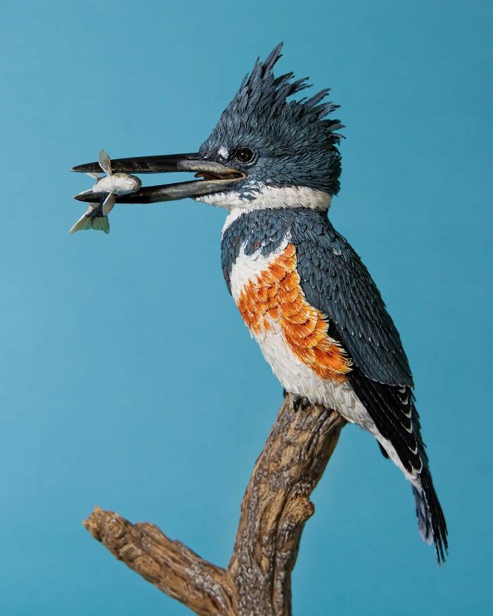Lifelike bird sculpture crafted from paper and wood, perched on a branch holding a fish against a blue background.