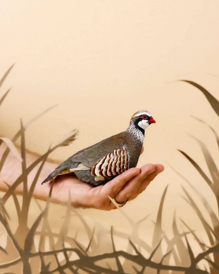 A lifelike bird crafted from paper and wood resting on a person's hand surrounded by soft grass silhouettes.