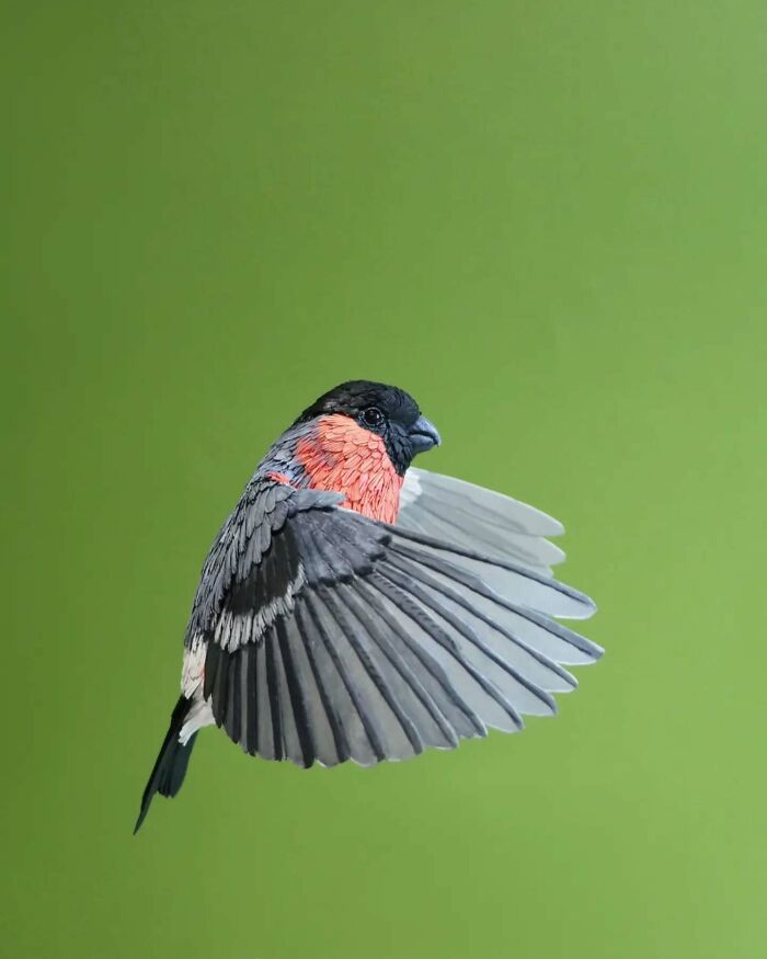 Lifelike bird crafted from paper and wood with detailed wings spread against a green background.