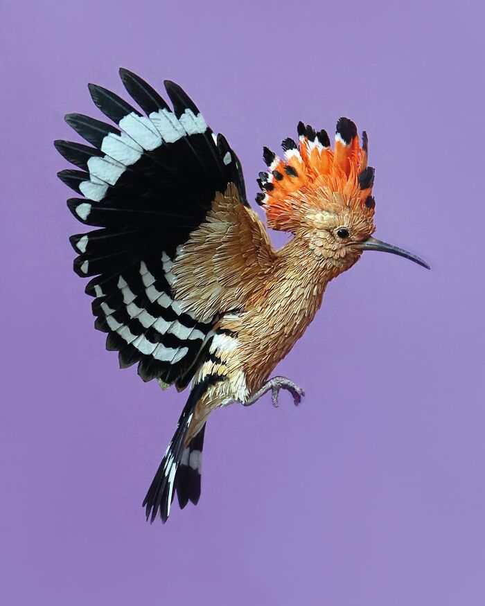 Lifelike bird crafted from paper and wood with vibrant orange crest and detailed black and white wings in mid-flight.