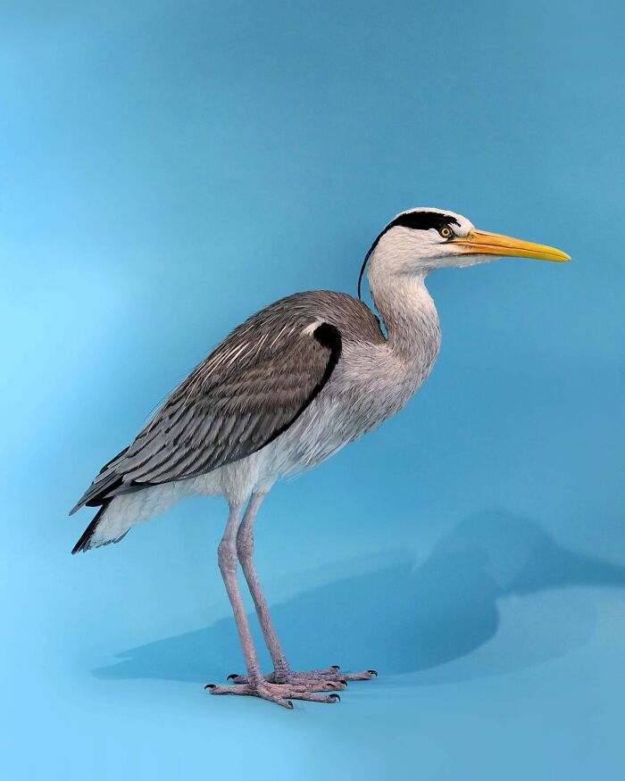 Lifelike bird sculpture crafted from paper and wood, showcasing detailed feathers and vibrant colors against a blue background.