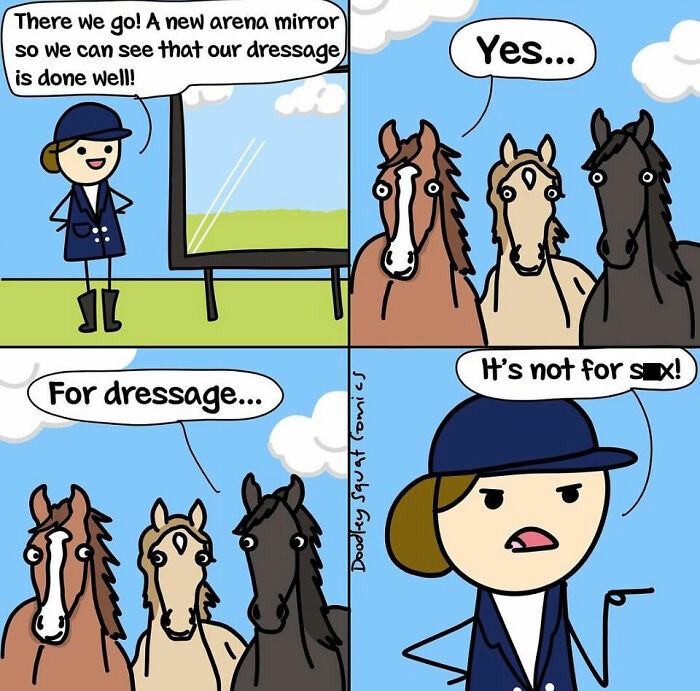 Comic strip by Australian mom showing horses and a rider humorously discussing a new arena mirror for dressage practice.