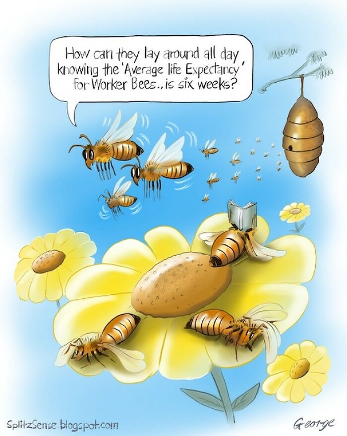Surreal single-panel cartoon showing bees on flowers with one reading and others discussing life expectancy of worker bees.