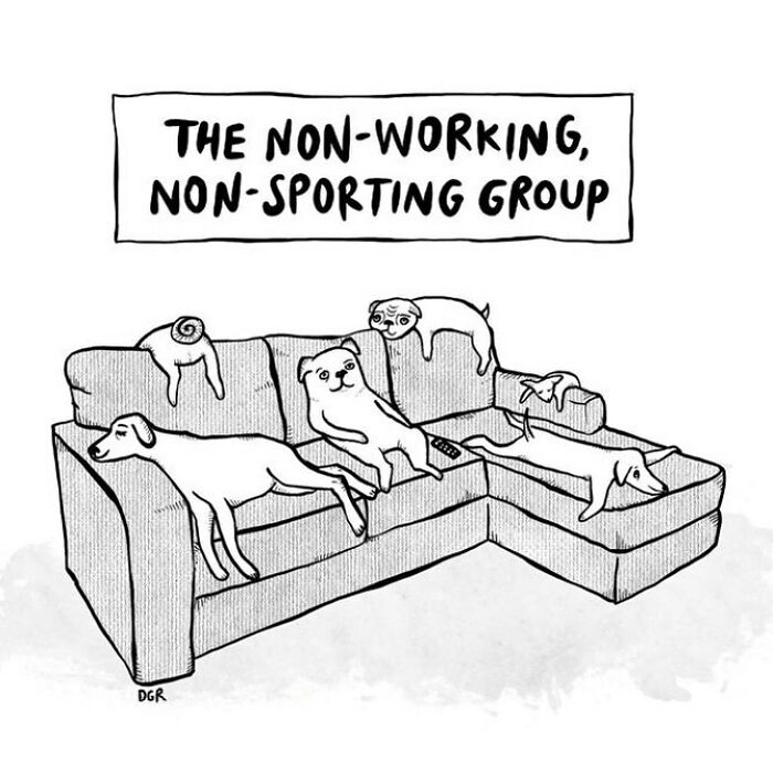 One-panel comic by Dahlia Gallin Ramirez showing dogs lounging on a couch capturing the absurdity of modern life.