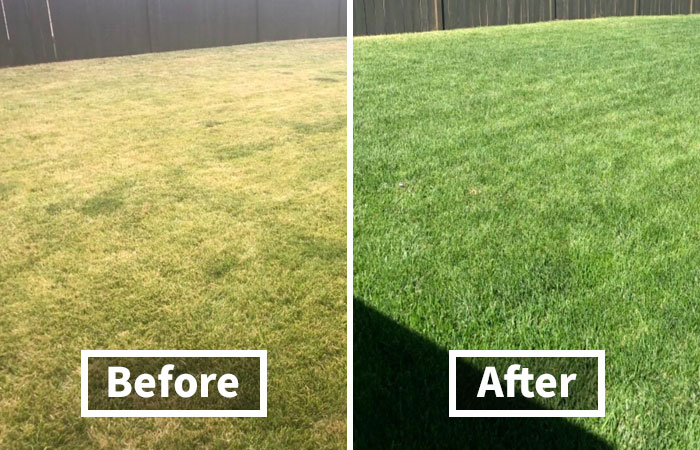 Before and after comparison of revitalized lawn grass as part of Amazon Memorial Day Sale gardening finds promotion.