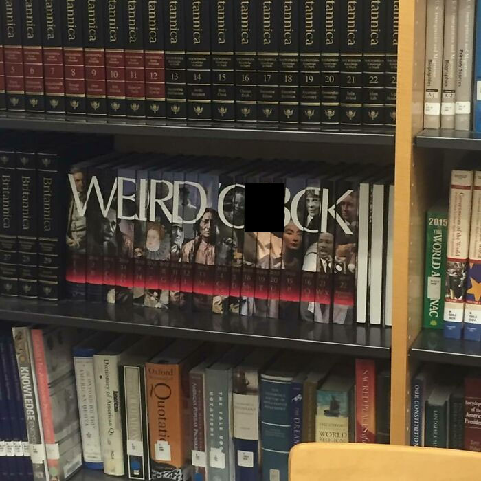 Bookshelf with encyclopedias creatively arranged to spell weird book, showcasing wholesome vandals improving street looks.