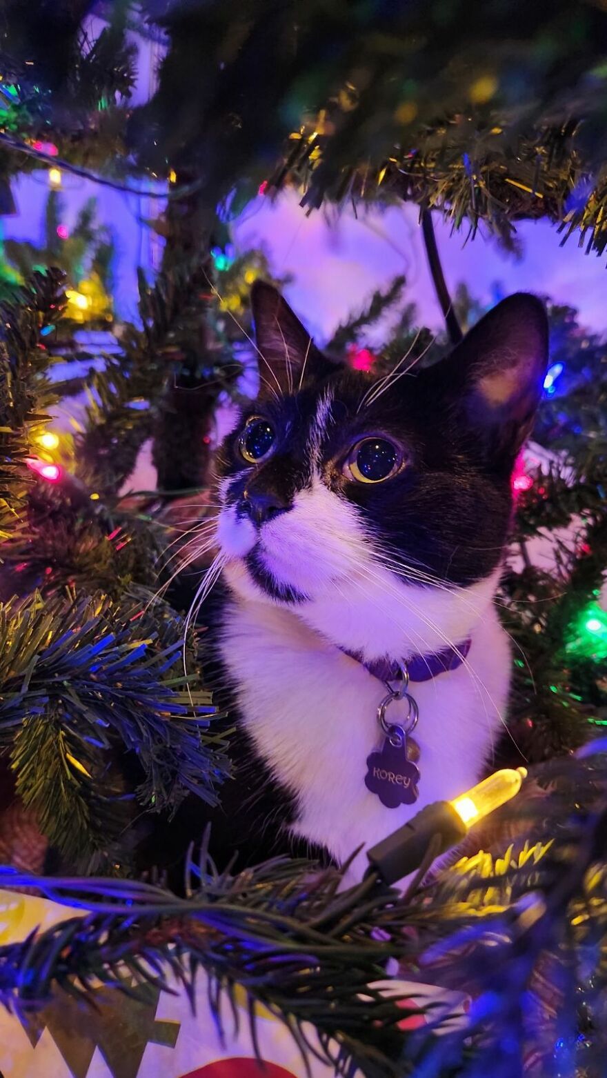 I Know I'm In Trouble, But I Look Good.