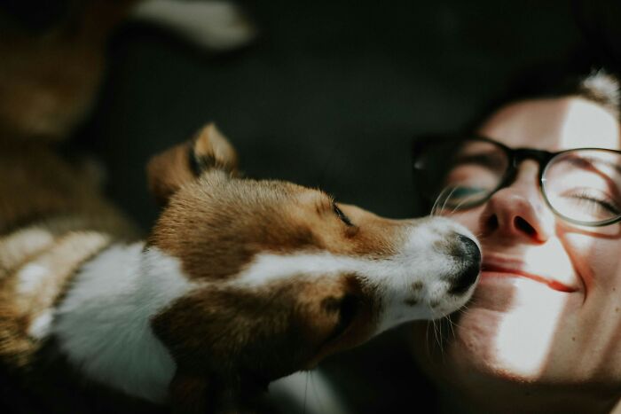 A woman with glasses smiling as her dog gently licks her face, capturing low-key pleasures and simple happiness.