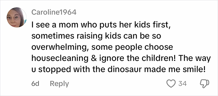 Screenshot of an online comment reacting to a woman cleaning out a filthy car, mentioning parenting and housecleaning.
