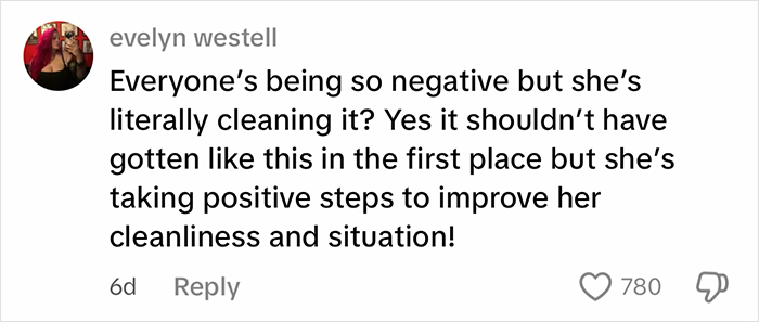 Comment on woman cleaning out filthy car, highlighting reactions and tiredness of good job mama remarks online.