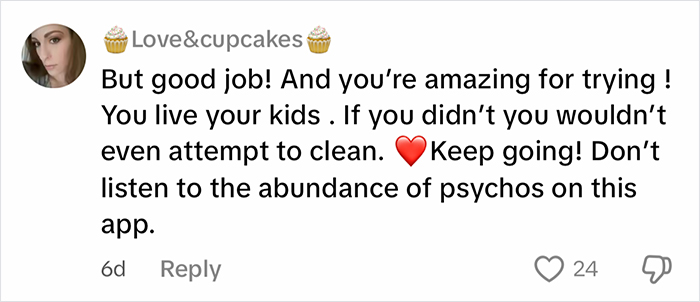 Screenshot of a social media comment supporting a woman cleaning out a filthy car, highlighting reactions online.