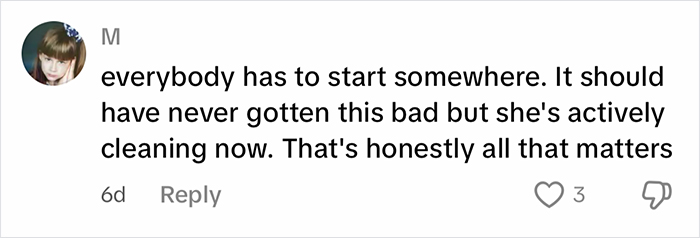 Comment on woman cleaning filthy car, highlighting internet reaction to tired of good job mama comments.