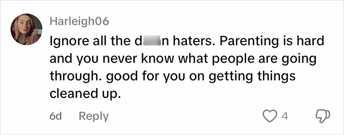 Screenshot of an online comment supporting a woman cleaning out a filthy car amid tired internet reactions.