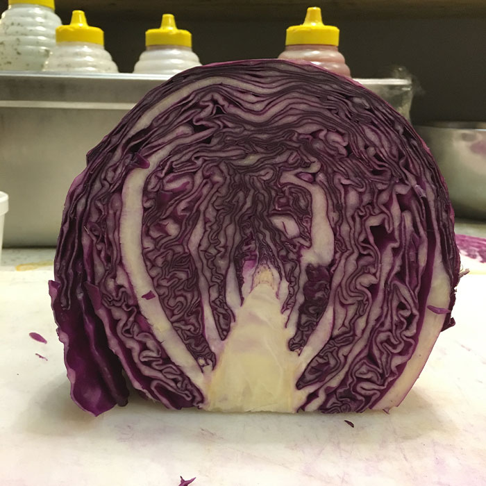 Close-up of a purple cabbage cut in half showing one-in-a-million coincidences in its natural pattern.
