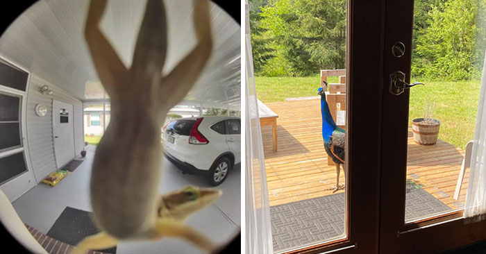 People Are Sharing Their Worst Wildlife Pics That Are Too Hilarious To Keep Hidden