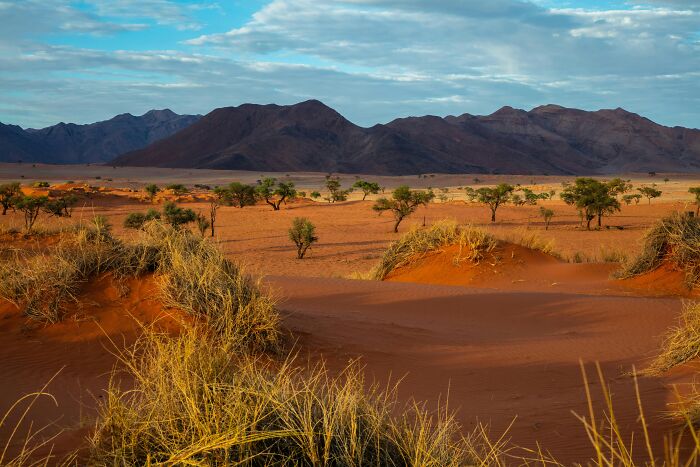Red desert landscape with scattered trees and mountains under a cloudy sky, showcasing natural wonders full of magic.