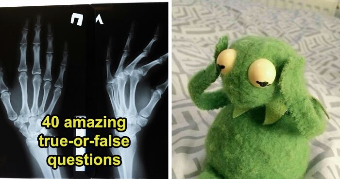 Here Are 40 True-Or-False Questions With Amazing Facts – By Scoring 38/40, You Prove You Are A Genius