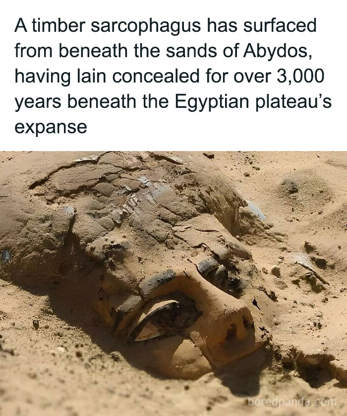 Timber sarcophagus uncovered in Abydos sands, revealing ancient history buried for over 3,000 years on Egyptian plateau.