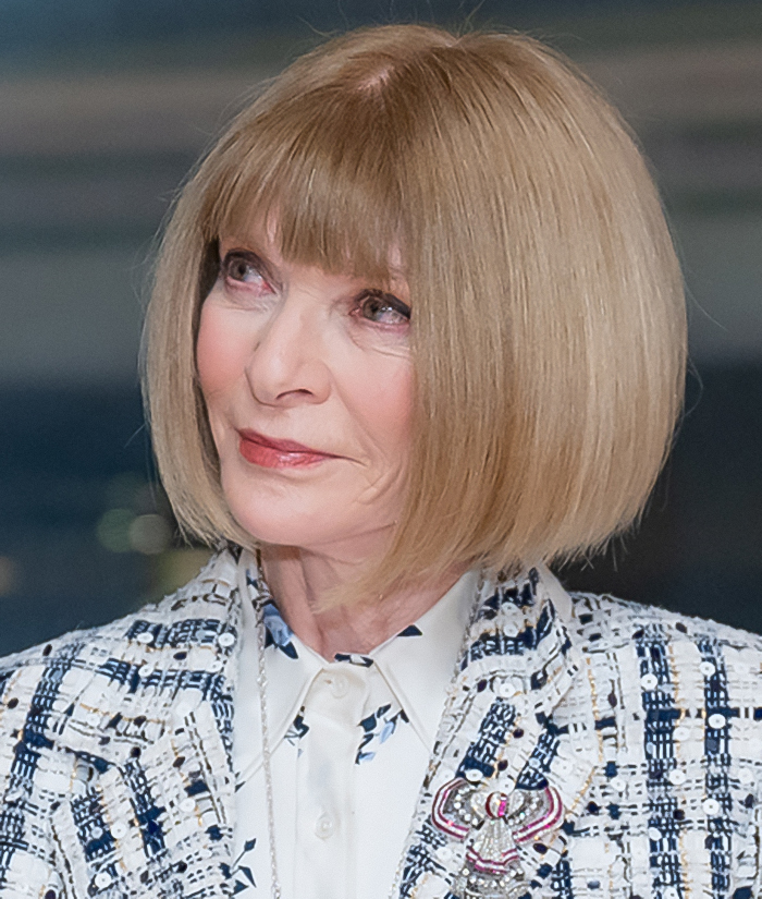 Anna Wintour at an event, wearing a patterned jacket, sparking gossip about her Met Gala dress stain incident. Anna Wintour at an event, wearing a patterned jacket, sparking gossip about her Met Gala dress stain incident.