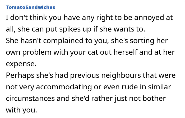 Comment discussing neighbor putting spikes on fence to keep outdoor cat away, sparking online debate about boundaries. Comment discussing neighbor putting spikes on fence to keep outdoor cat away, sparking online debate about boundaries.