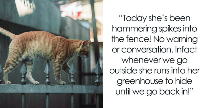 Elderly Neighbor Makes An Unexpected Decision To Put Spikes On Her Fence, Leaving Couple Baffled