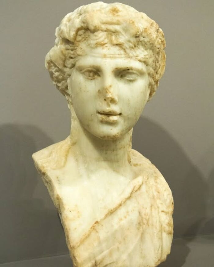 Marble bust of an ancient figure showcasing archeology and art in a classic sculpture with detailed facial features.