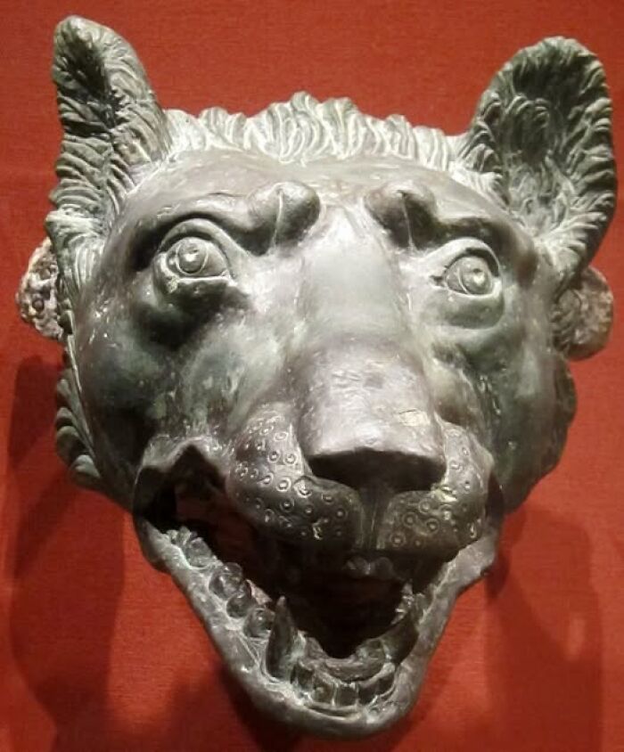 Bronze sculpture of a roaring big cat head, showcasing ancient archeology and art craftsmanship against a red background.