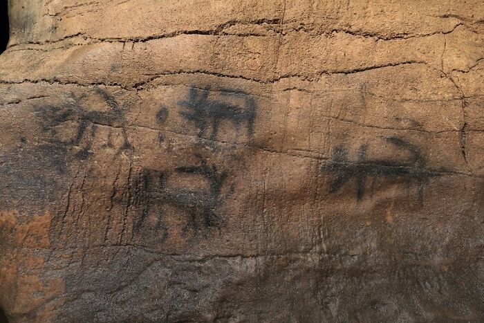 Ancient archeology and art showing faded black animal figures painted on a weathered rock surface.