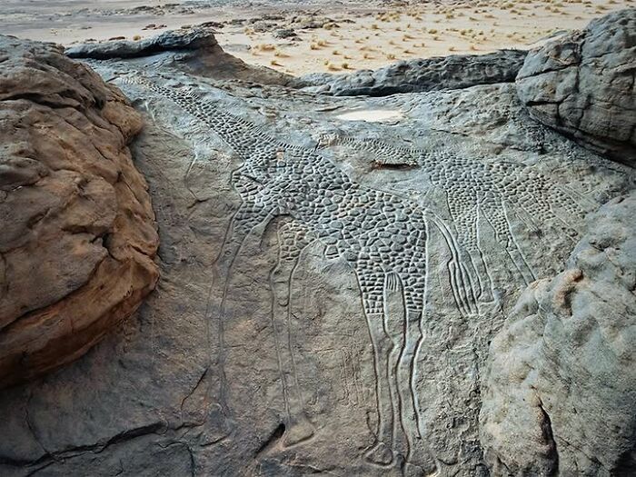 Ancient archeology and art featuring detailed rock carvings of giraffes in a desert landscape among large stone formations.