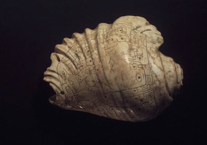Carved shell featuring intricate symbols and designs, an archeological wonder blending art and ancient craftsmanship.