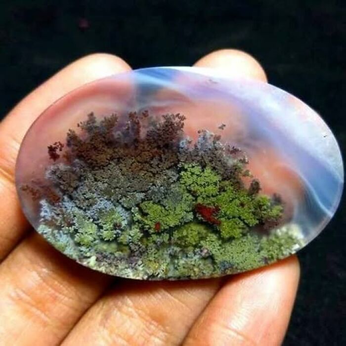 Hand holding a polished agate stone with moss-like inclusions, an archeological art wonder of natural beauty.
