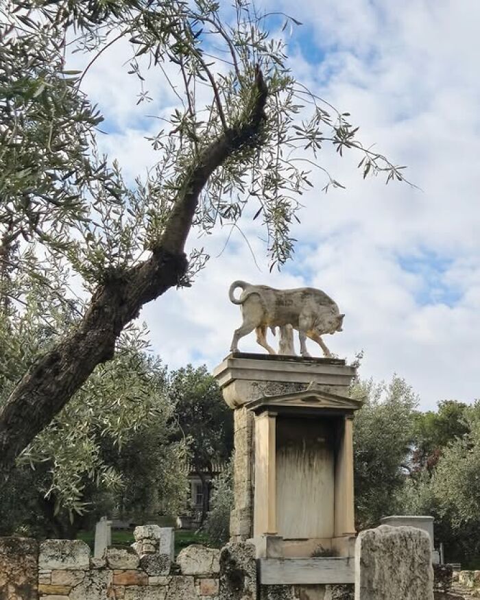 Ancient stone sculpture of a wolf atop a pedestal surrounded by olive trees, showcasing archeology and art outdoors.