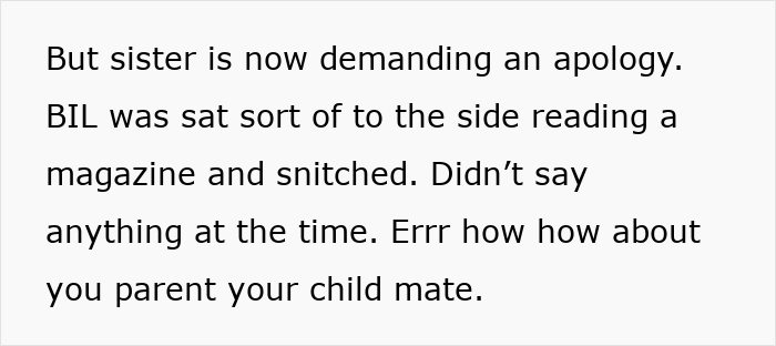 Text excerpt discussing a mom demanding an apology from sister for disciplining toddler, focusing on parenting conflicts. Text excerpt discussing a mom demanding an apology from sister for disciplining toddler, focusing on parenting conflicts.