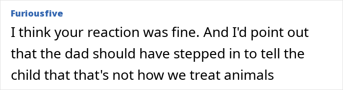 Commenter discussing discipline and parenting, suggesting the dad should intervene to teach proper behavior to the child. Commenter discussing discipline and parenting, suggesting the dad should intervene to teach proper behavior to the child.