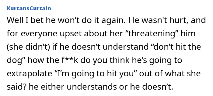Comment text about disciplining toddler and mom demanding apology from sister in family conflict discussion. Comment text about disciplining toddler and mom demanding apology from sister in family conflict discussion.