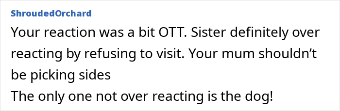 Text conversation about mom demanding apology from sister for disciplining toddler and family drama over parenting choices. Text conversation about mom demanding apology from sister for disciplining toddler and family drama over parenting choices.