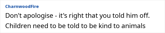 Comment text on a forum discussing parenting, with a user supporting disciplining a toddler and opposing apologies. Comment text on a forum discussing parenting, with a user supporting disciplining a toddler and opposing apologies.