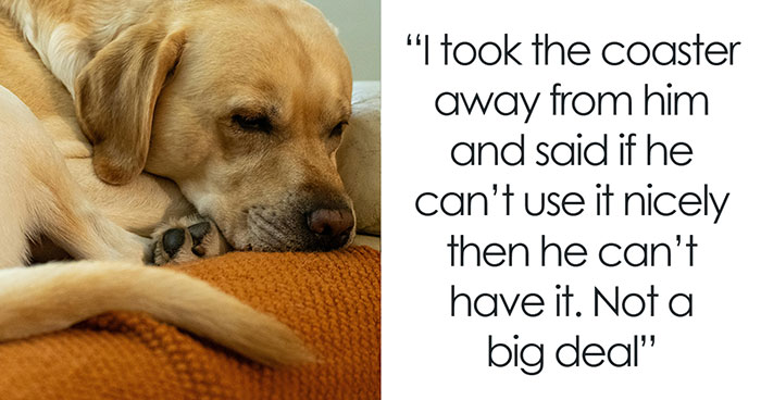 Woman Protects Her Dog From 2.5YO Nephew, Sister Demands An Apology